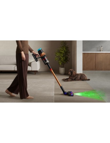 Dyson V16 Piston Animal